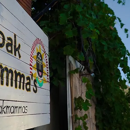Kabak Mamma's Restaurant & Terrace Bar Φετιγιέ