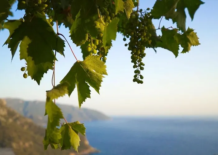 Hotel Kabak Mamma's Restaurant & Terrace Bar Fethiye